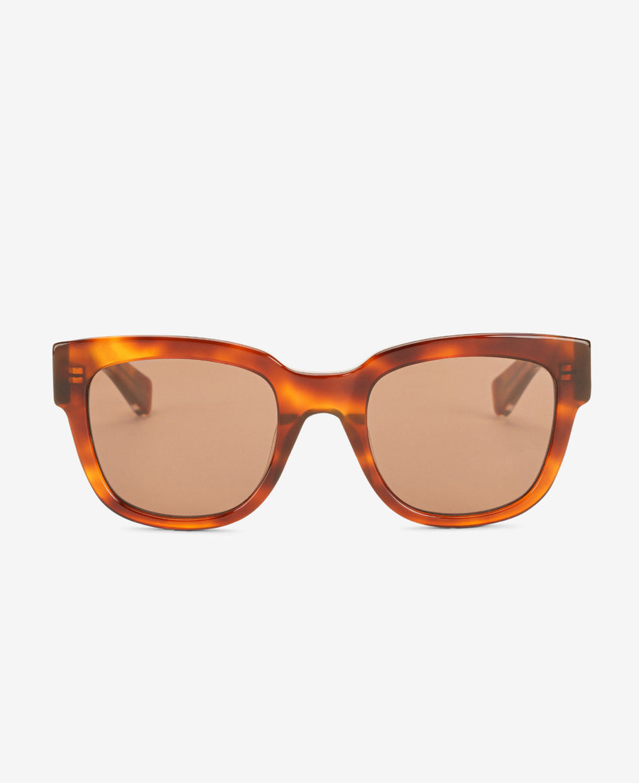 LIV REVEAL - Havana / Transparent Brown