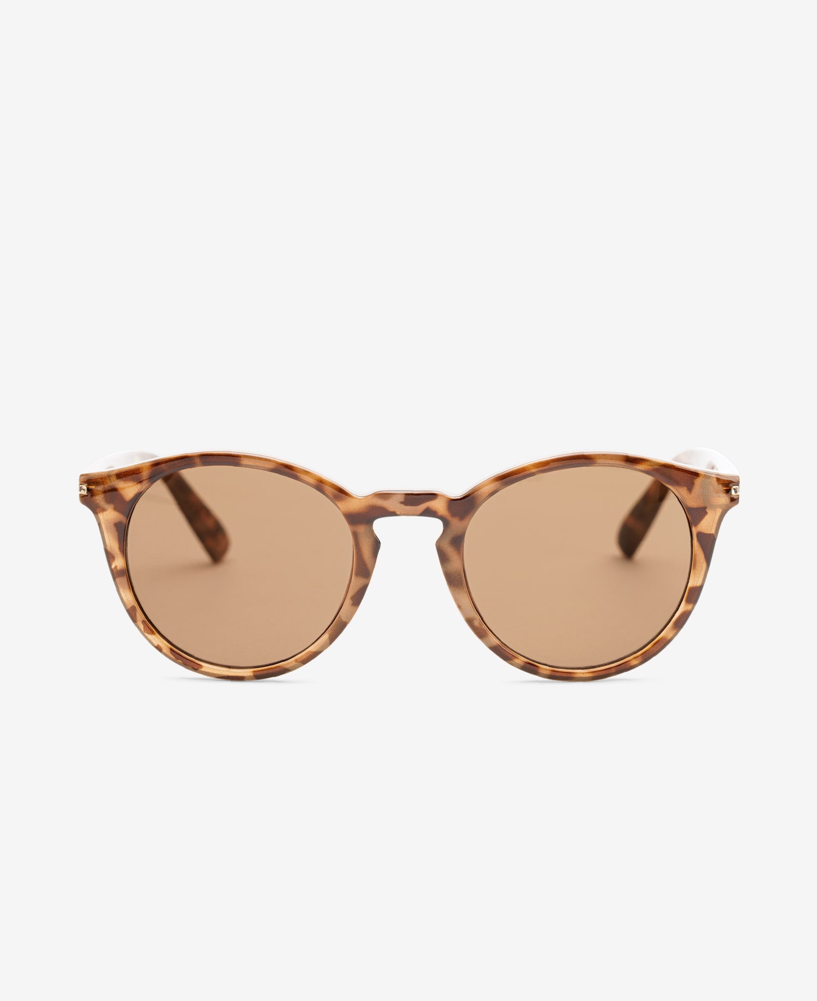 HOBBES - Egyptian Tortoise Brown