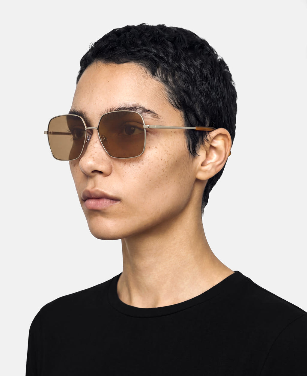 AREL - Shiny Silver Deep Brown Gradient