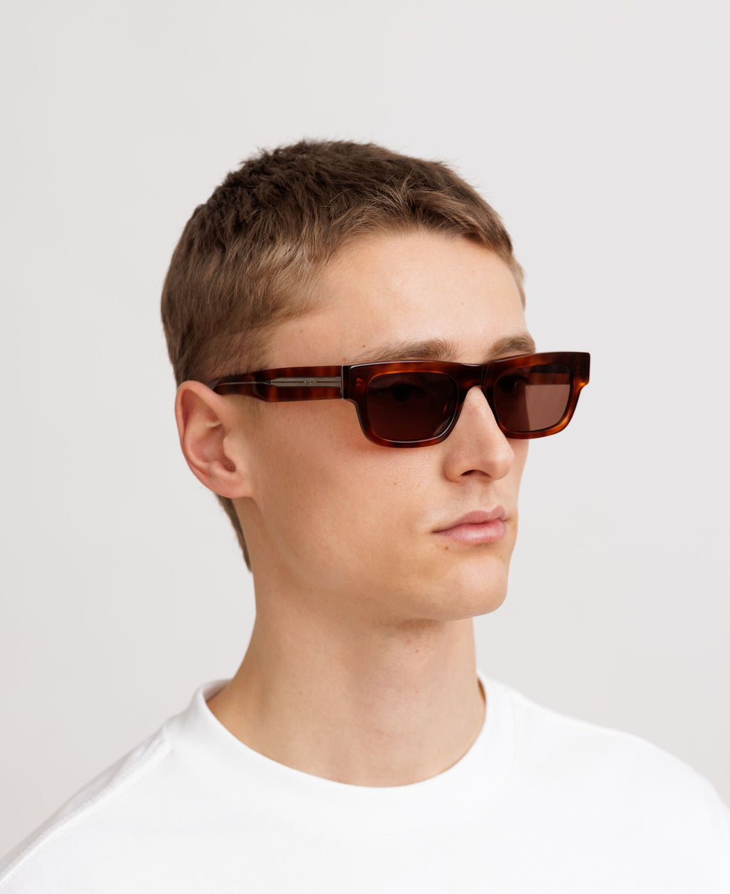 NEW DYLAN REVEAL - Havana / Transparent Brown